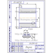 СБ-Z09V1-03 - Втулка